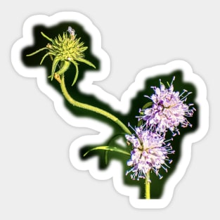 Summer flower Sticker